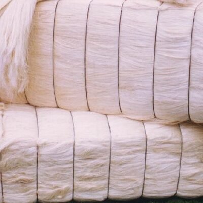 Sisal Fiber