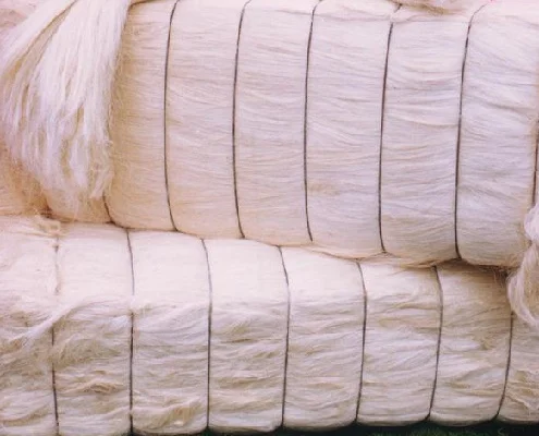 Sisal Fiber