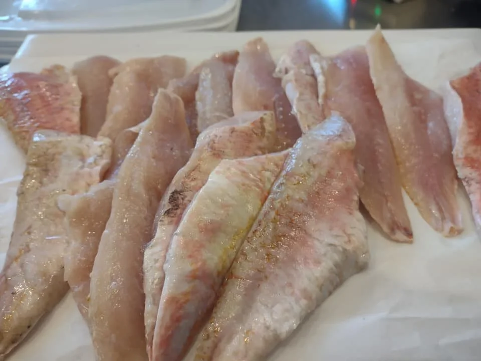 Where to buy fresh Mullet Fish - GRUPE AFRICA