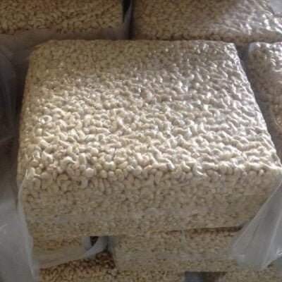 Raw Cashew Nuts Wholesale Competitive Prices