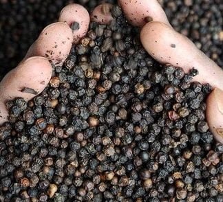 Whole Black Pepper Wholesale