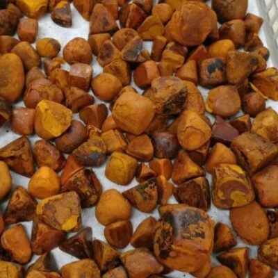 Buy Ox Gallstones