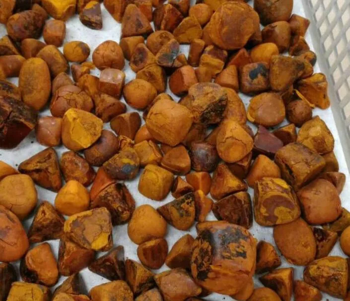 Buy Ox Gallstones