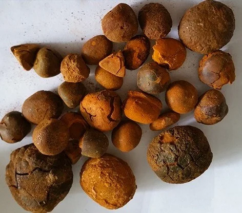 Ox Gallstones & Ox Cow Gallstones - Image 6