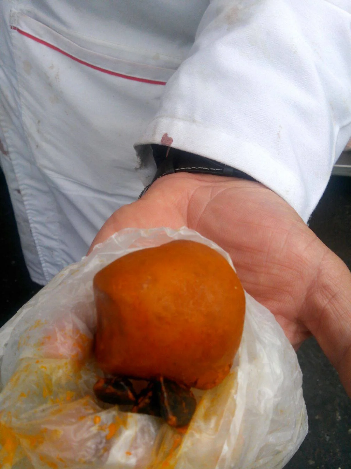 Buy Ox Gallstones