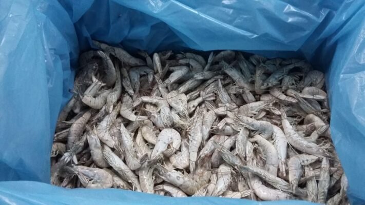 High quality Vannamei Shrimp seafood wholesale