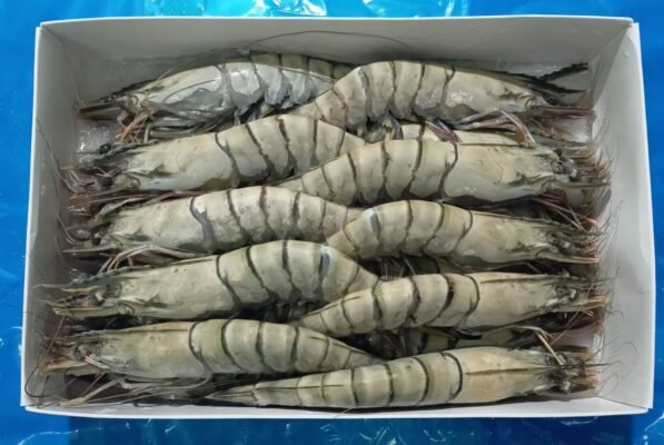 fresh seafood for sale Black Tiger Shrimp at grupe africa