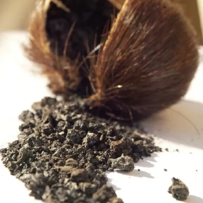 Pure Musk 87% - Wild Black DEER MUSK Powder