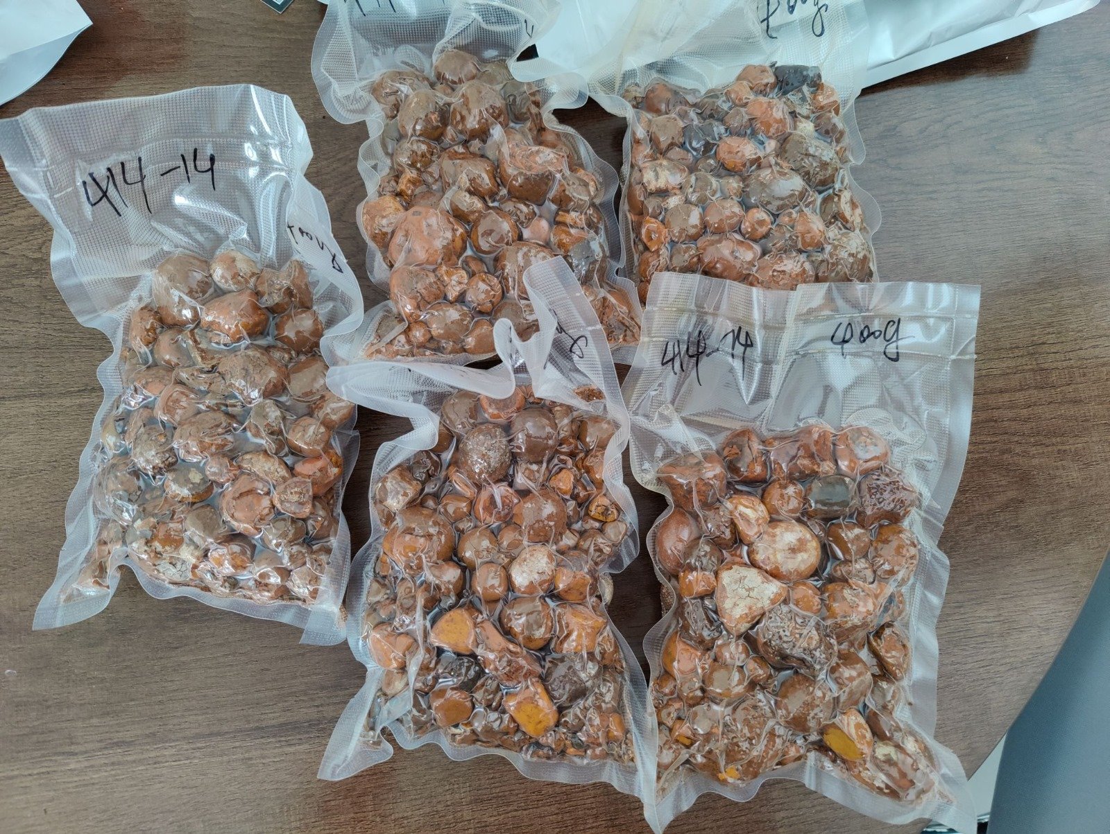 OX gallstones for sale at Grupe Africa